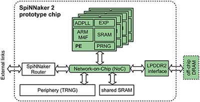 Memory-Efficient Deep Learning on a SpiNNaker 2 Prototype